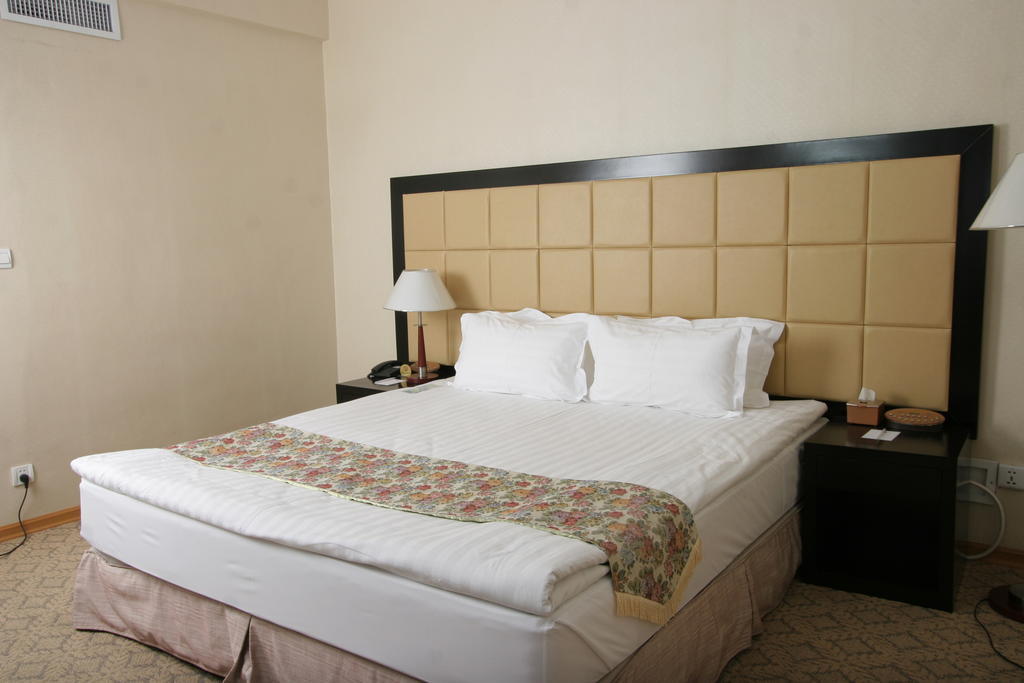 Ulaanbaatar Hotel Room photo